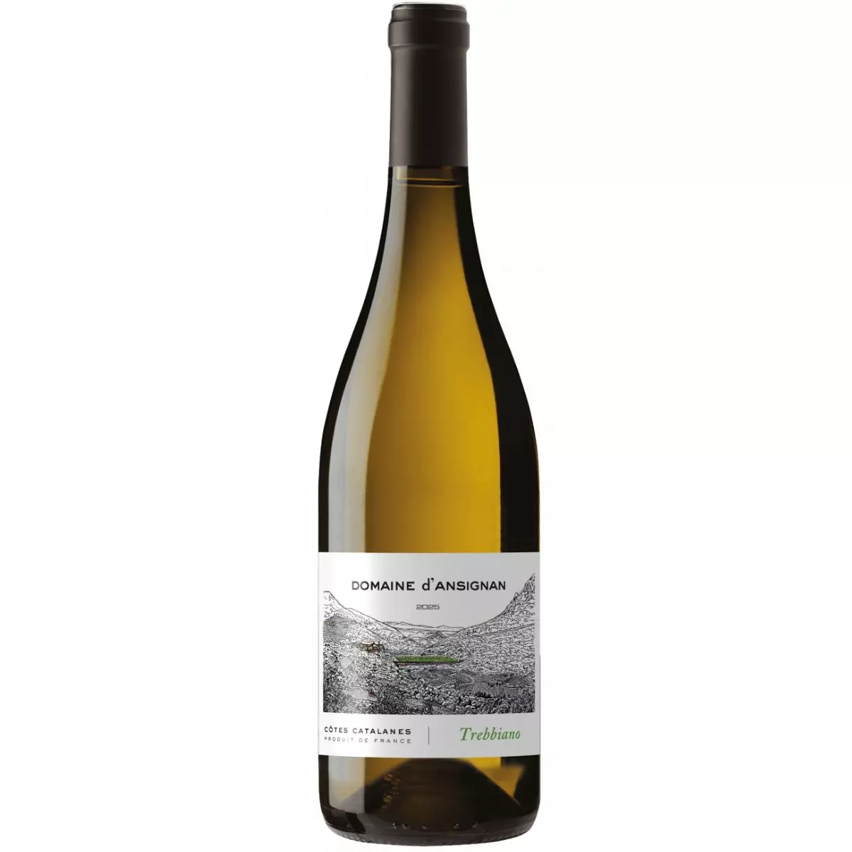 trebbiano-ansignan.jpeg Trebbiano