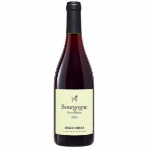 Bouteille de Gros Bidon Bourgogne 2023 – Arnaud Combier