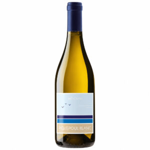 Bouteille de Piquepoul Blanc Iode et Mer 2024 – Jeff Carrel